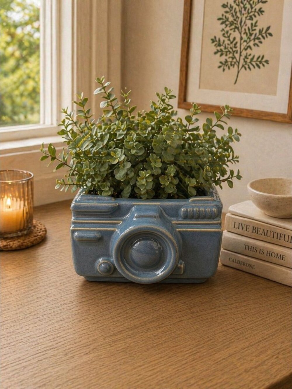 New Vintage Blue Camera Ceramic Indoor Outdoor Planter Catus Succulent Pot